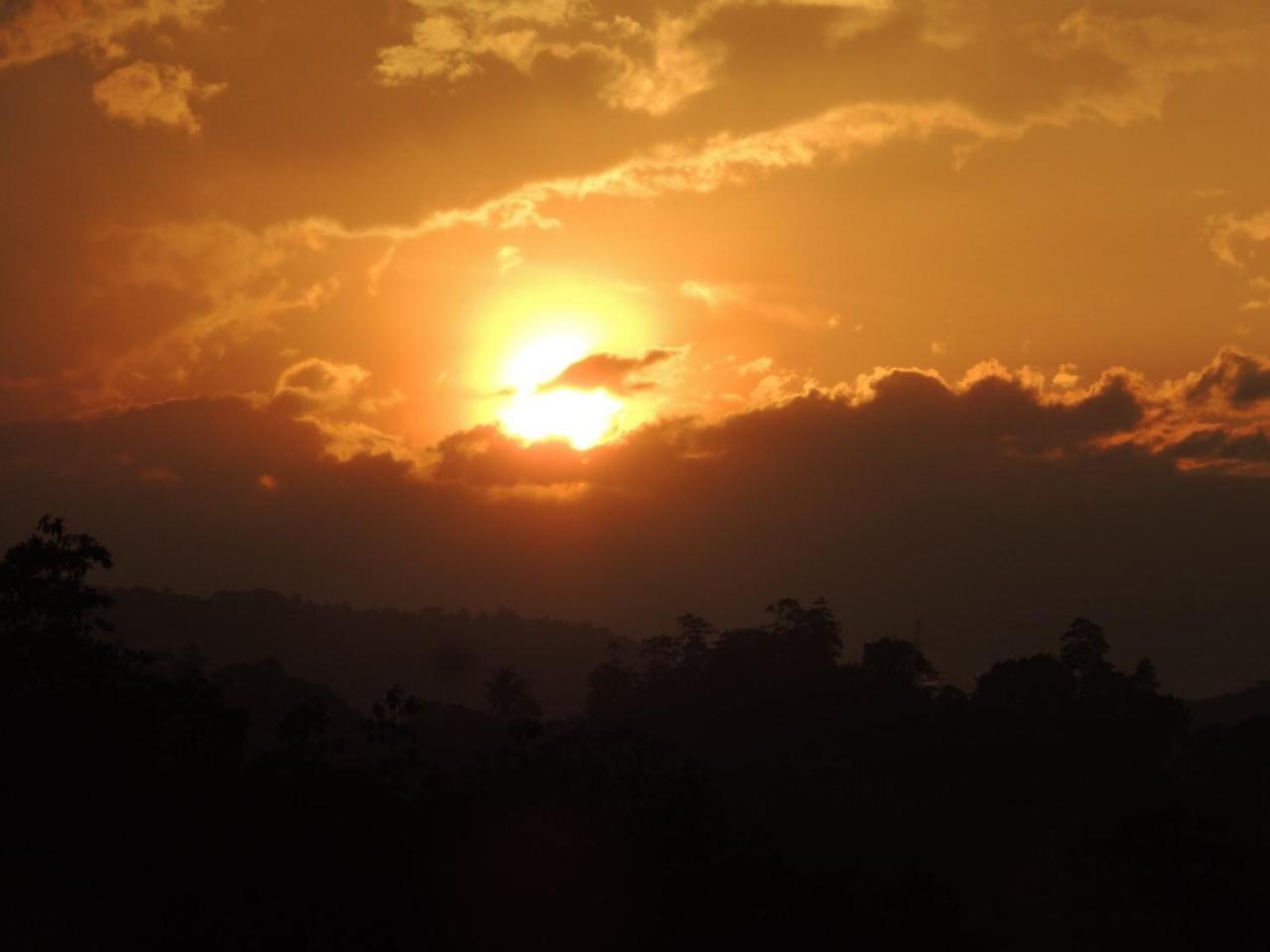 Bed and Breakfast 47 Alfred House - Free Pickup From Kandy City Exteriér fotografie